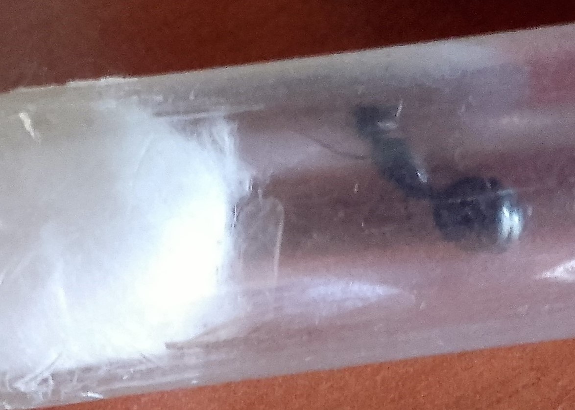 Reina identificar