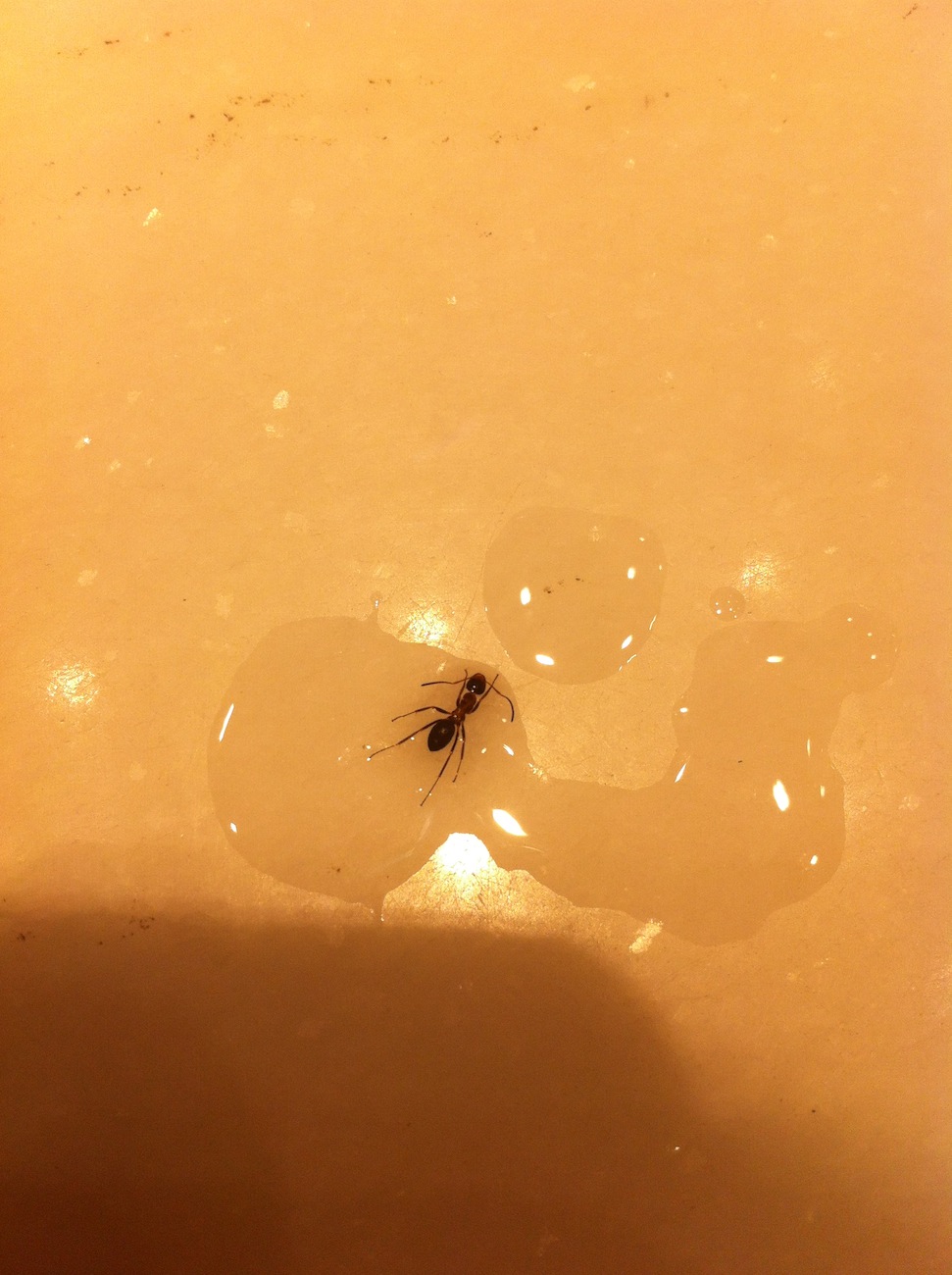 Ayuda a identificar