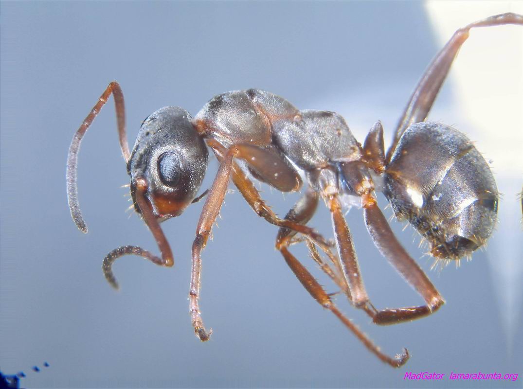 muestra-28-02
