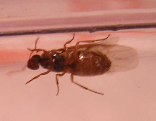 Especie1_21_09_04_madrid