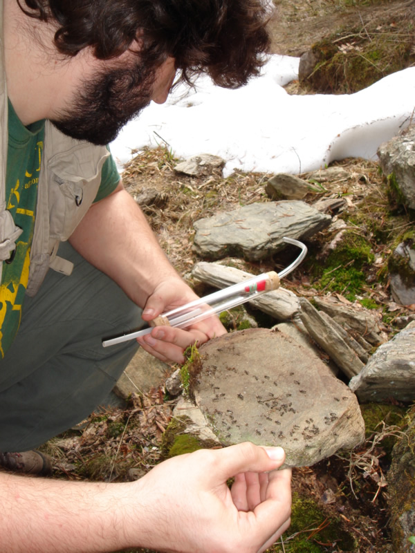 Kiko ense�ando piedra con F. lemani (24 IV 06, Planas de Son, Pallars Sobir�)