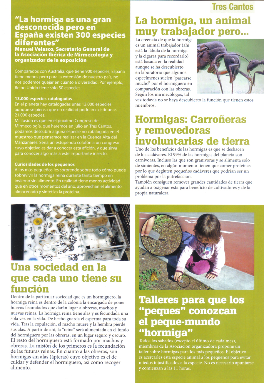 El buscador 2