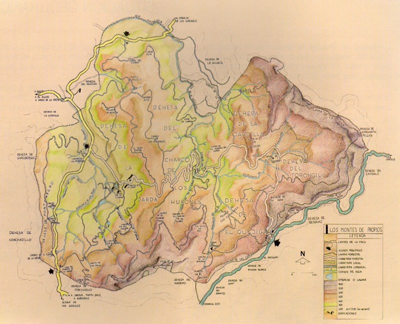 Montes Propios. Mapa finca