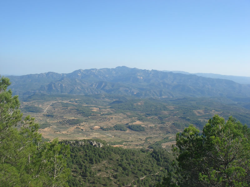 Serra de P?ndols (Terra Alta, Catalunya). Cota 705 m. Vista 6. 13.10.2007