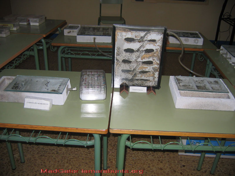 expo08-07