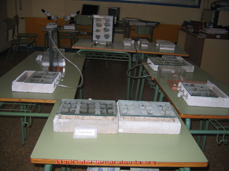 expo08-08