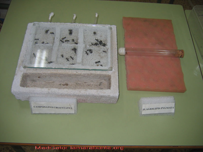 expo08-11