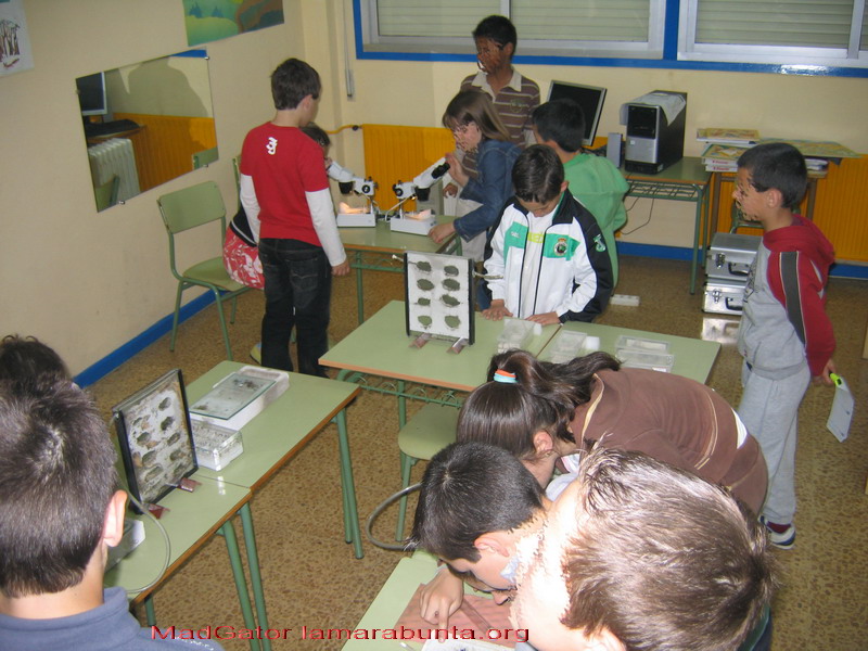 expo08-15