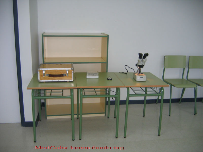 exposicion-6735