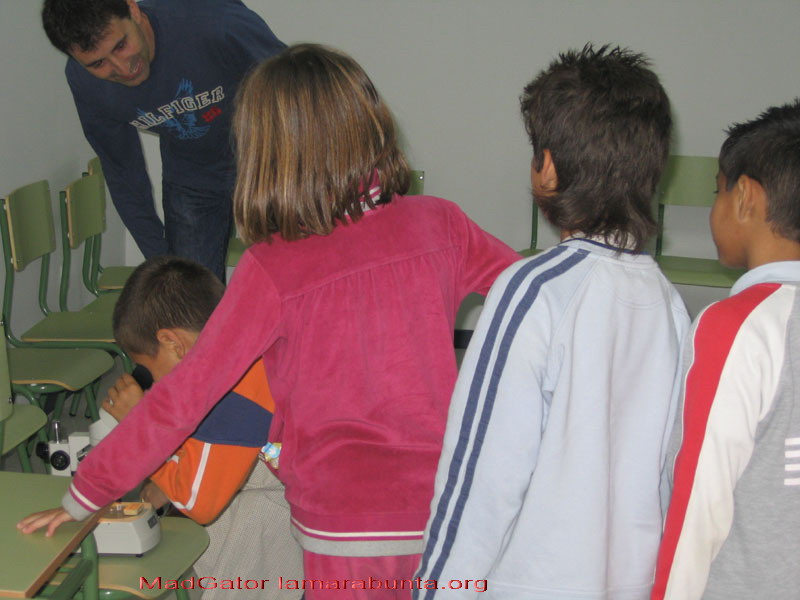 exposicion-6745