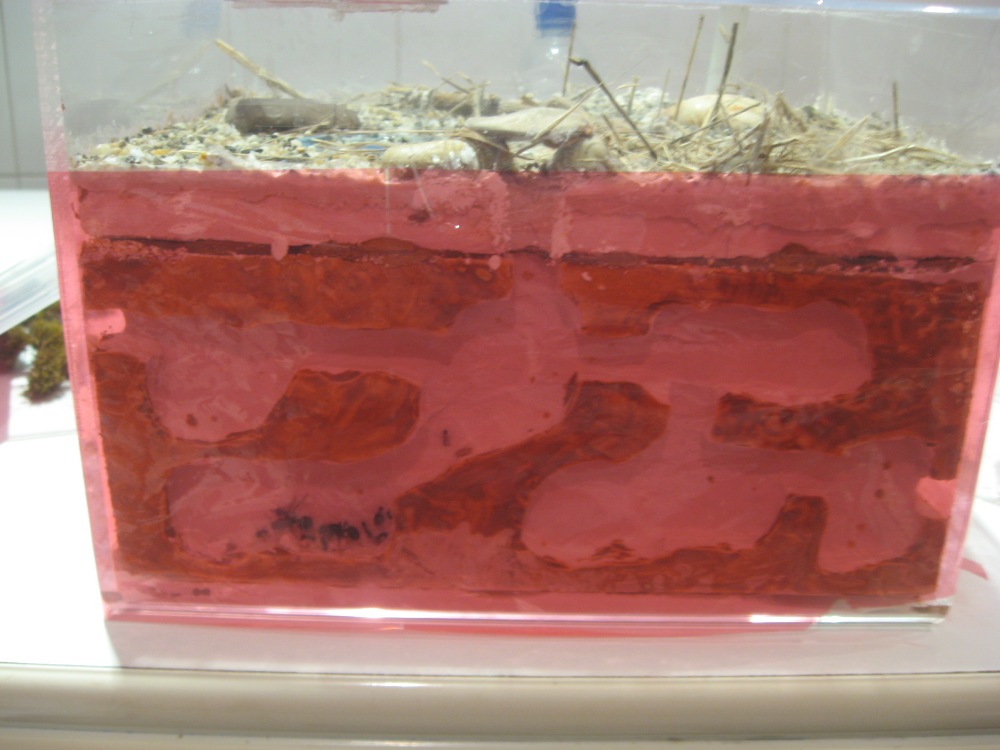 mca9