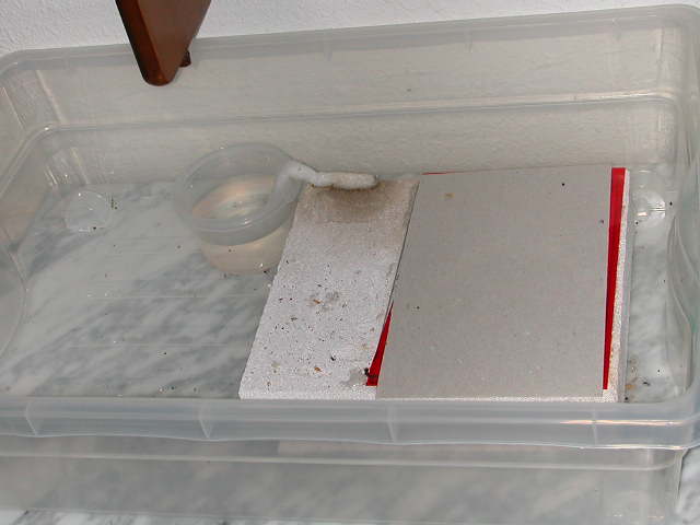 ytong aphas