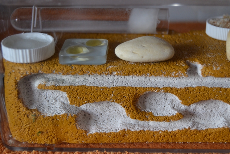 Hormiguero Ytong para mis Lasius niger