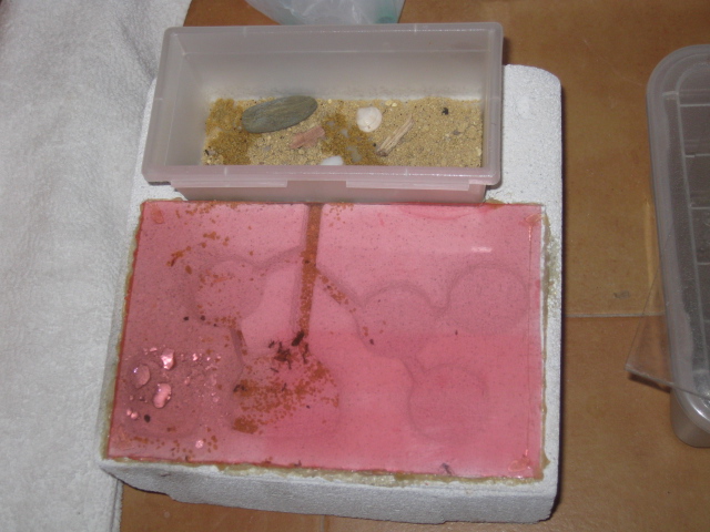 para formica