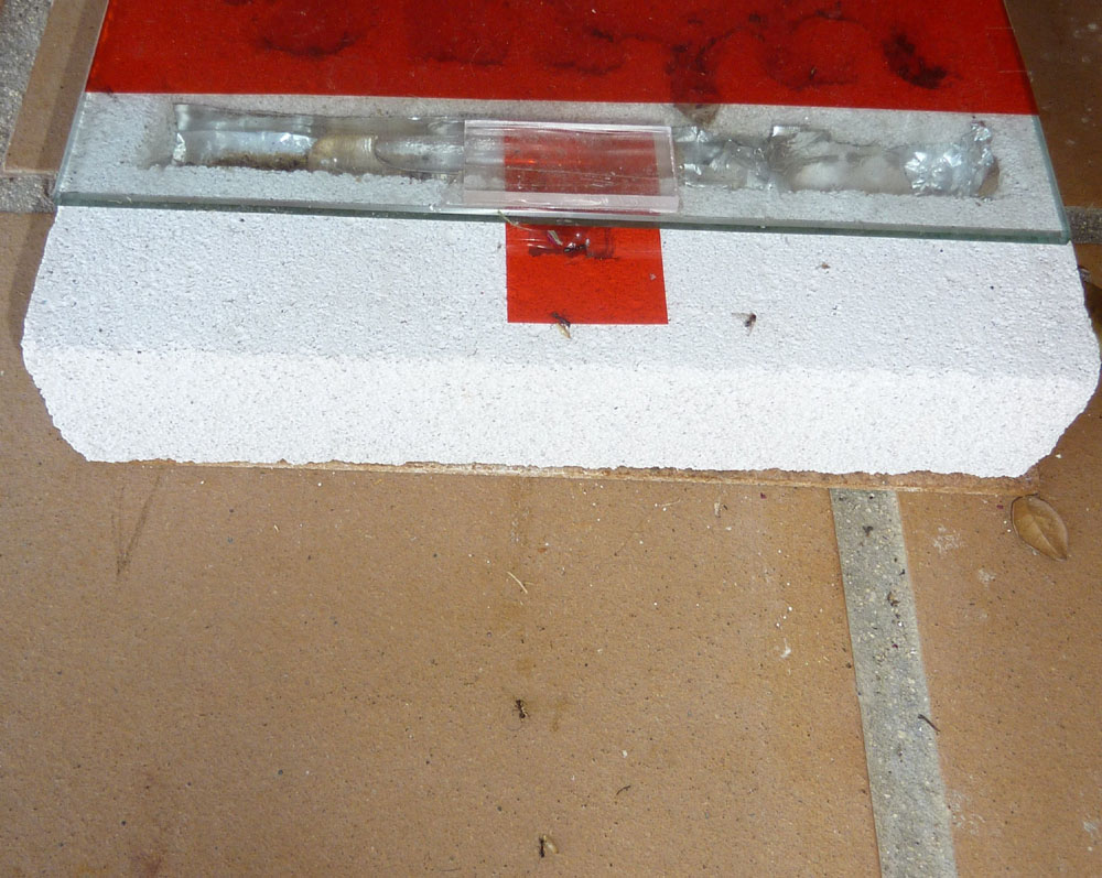 P1030949p.jpg