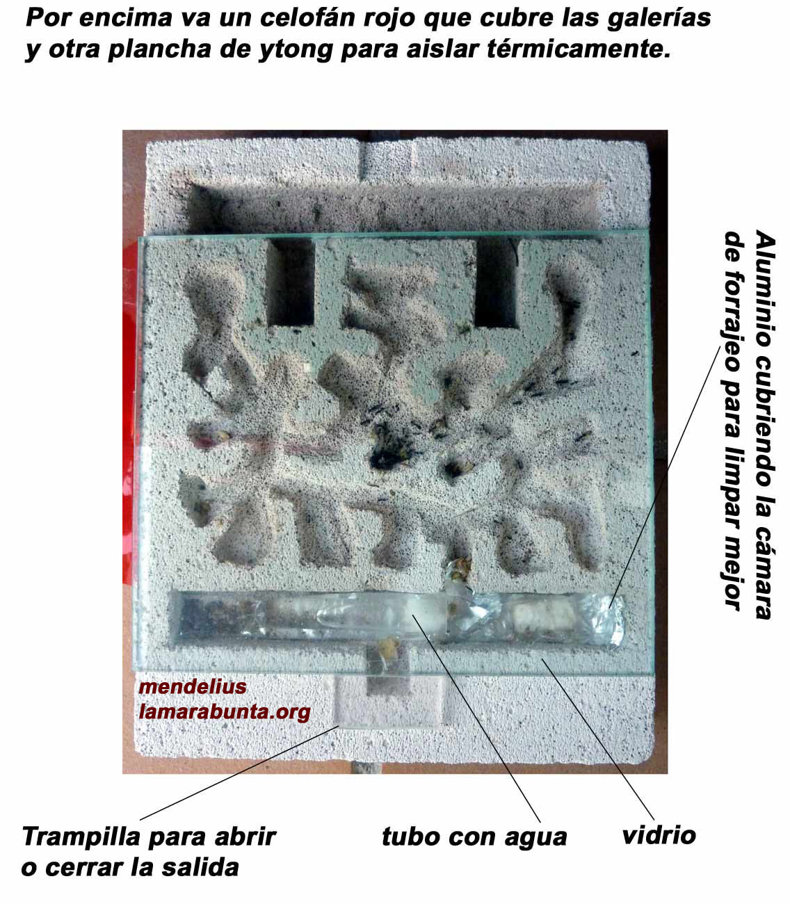 bloque-2-p.jpg