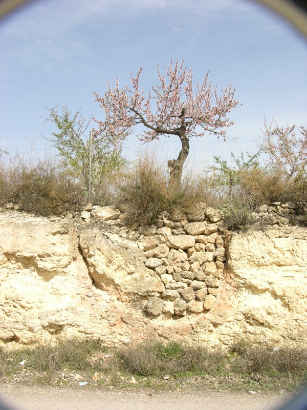 dscn7375