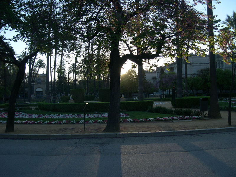 DSCN0001