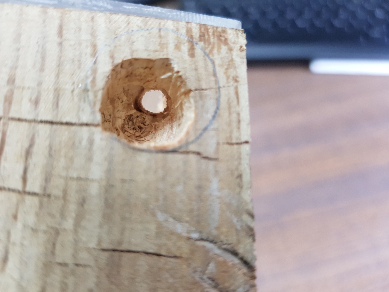 Hormiguero de madera 2