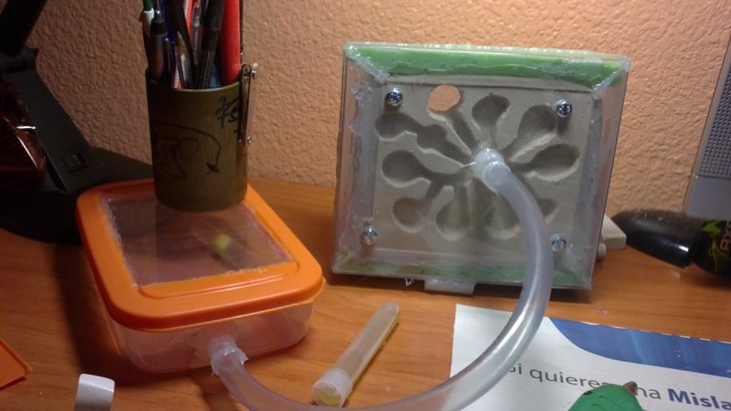 Hormiguero (diario: Mis Lasius Niger(frins))