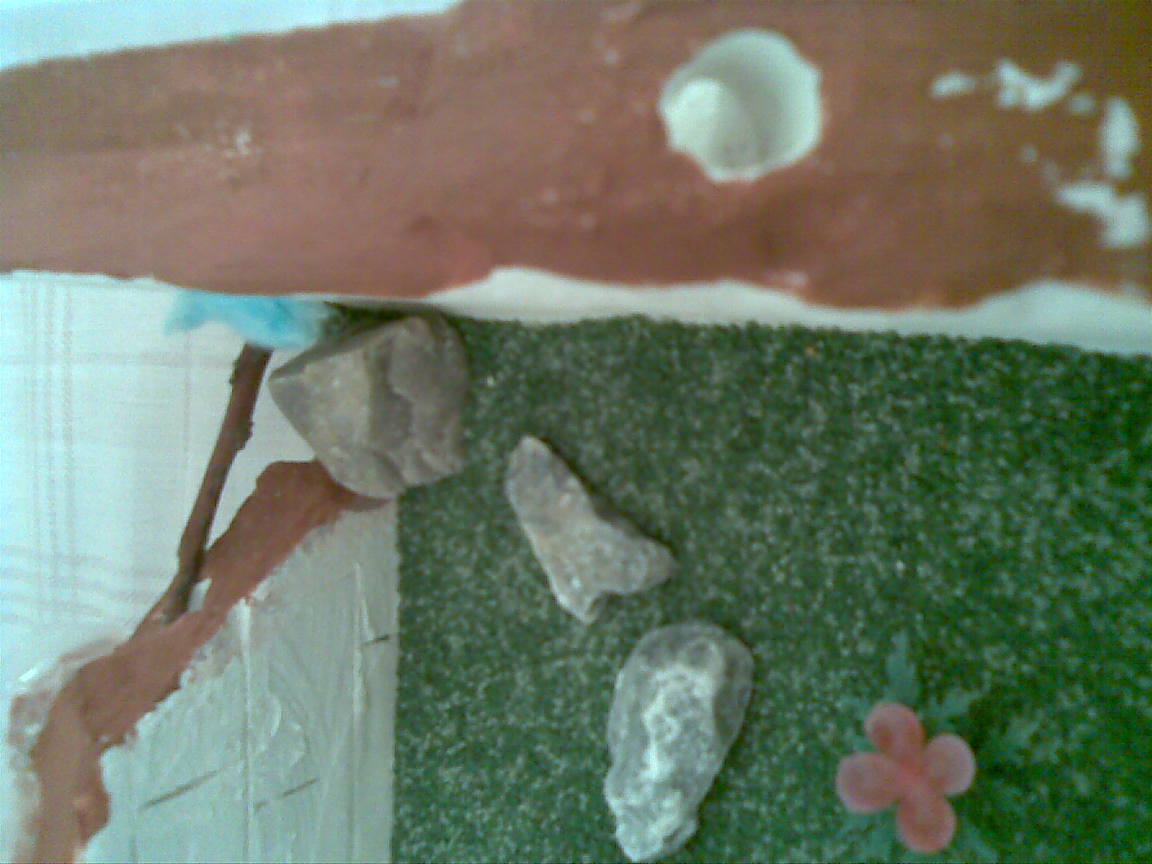 Hormigas en el muro1