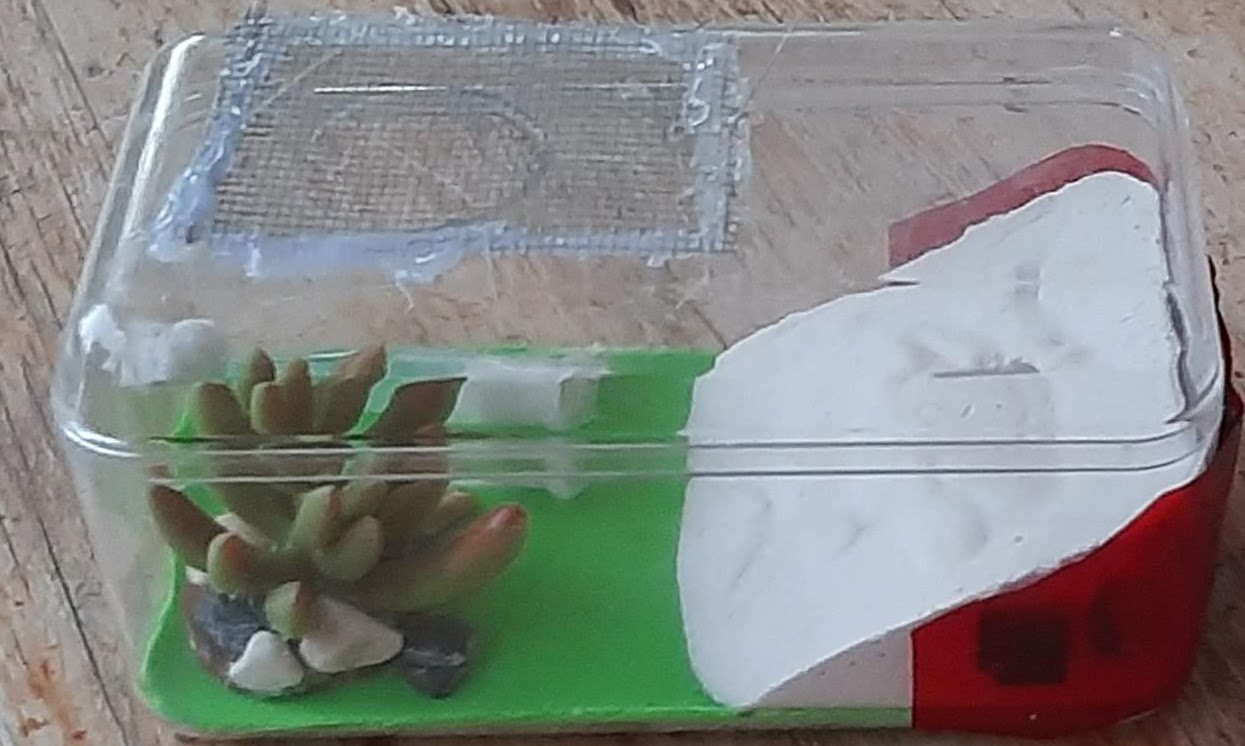 Mi primero de escayola