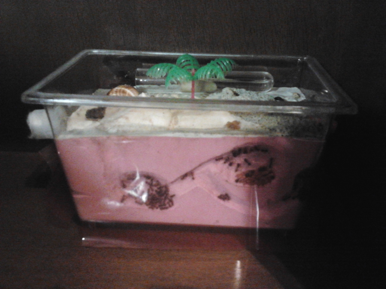 Cookie12
