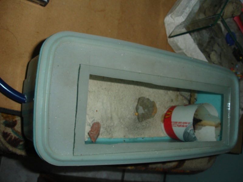 Criadero ANTonieta