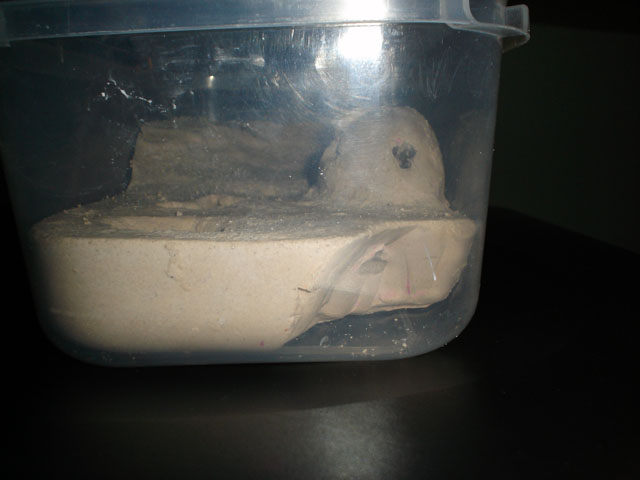 1c