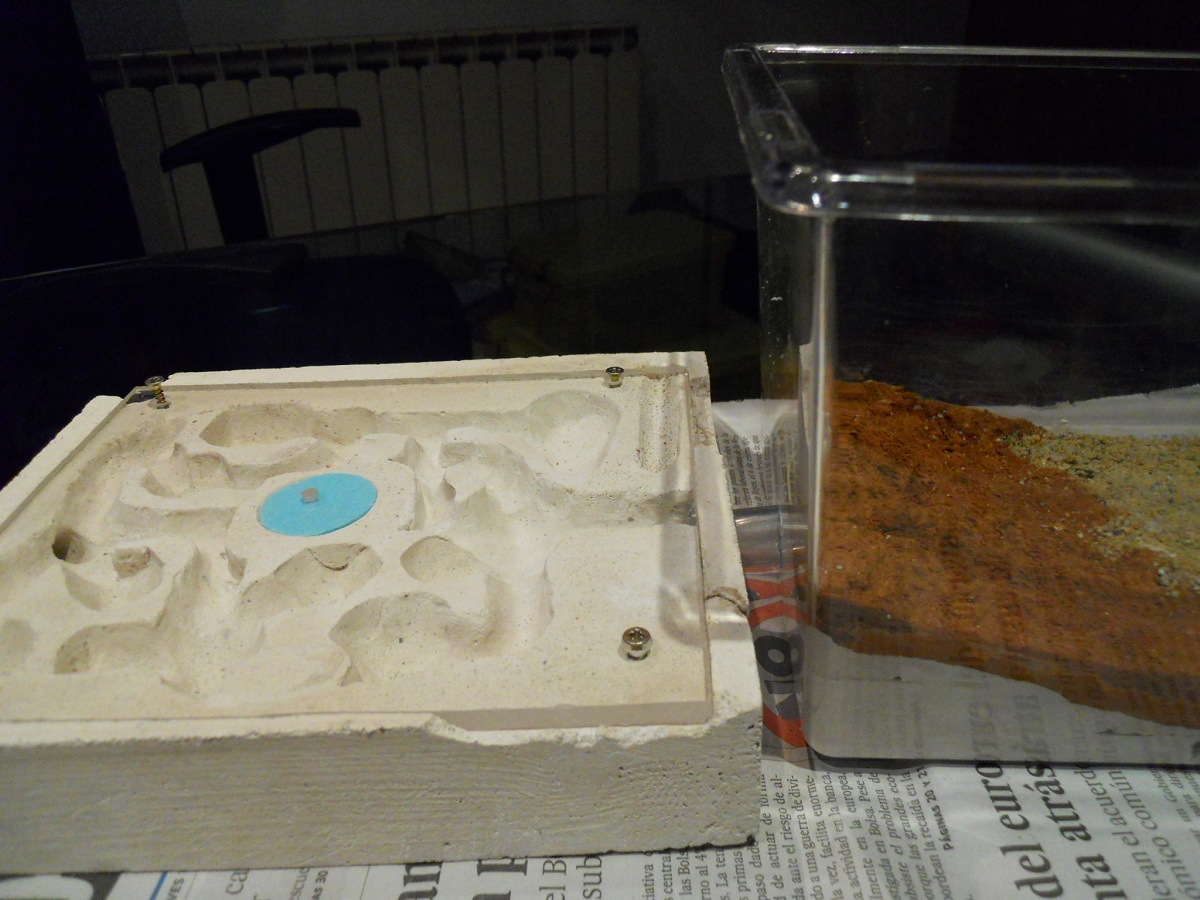 hormiguero escayola con caja de forrajeo decorada