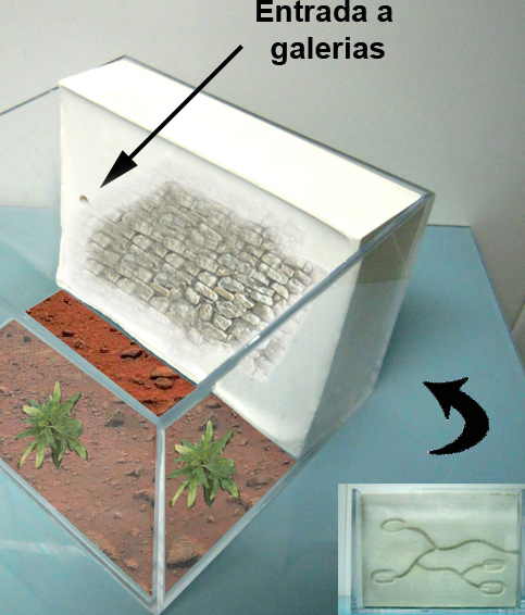 Proyecto