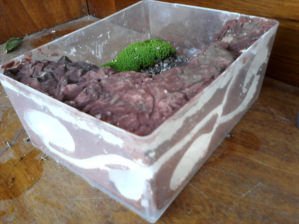 Micro-hormiguero yeso