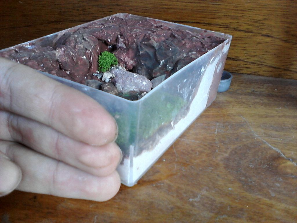 Micro-hormiguero yeso