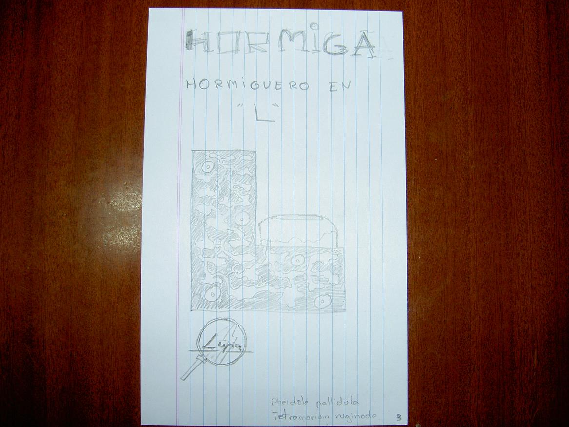 H1