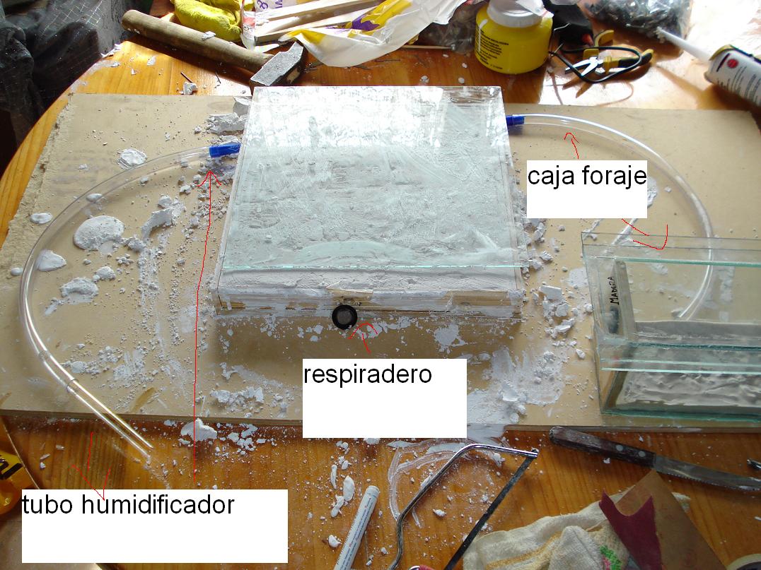 Terrario yeso
