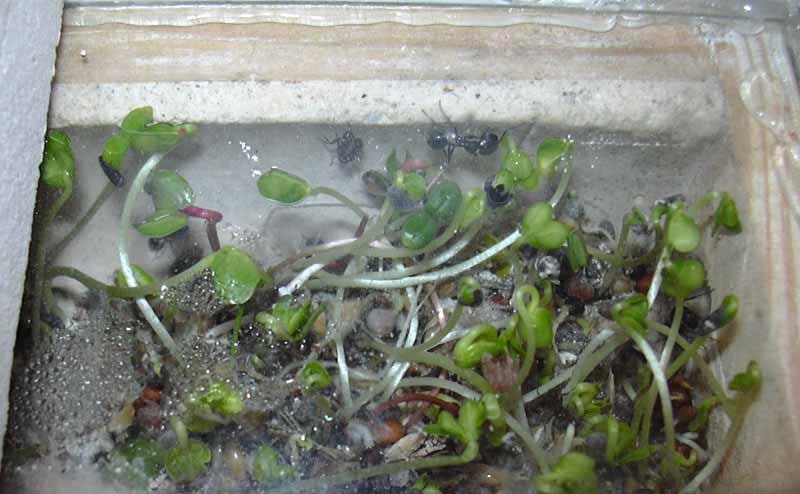 Esto si es habitat natural���...glup