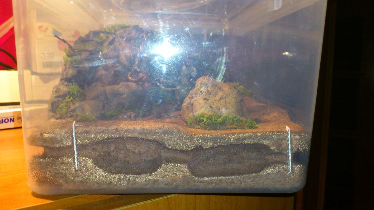 terrario