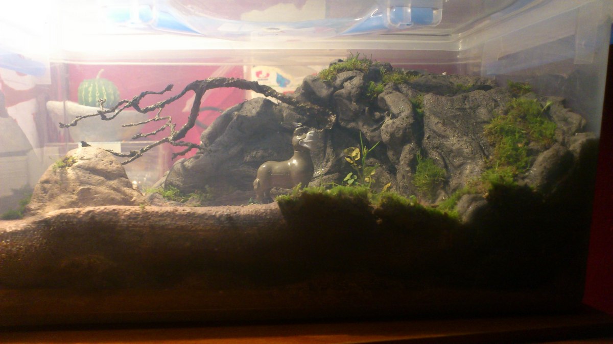 terrario
