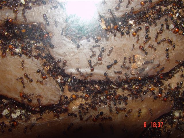 DSC00220