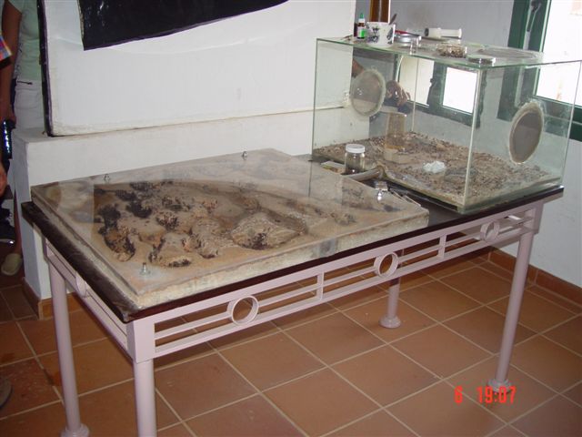 DSC00226