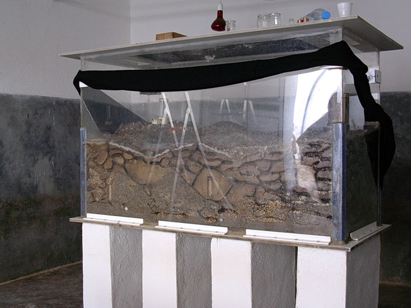 Visita al Museo de Joao
