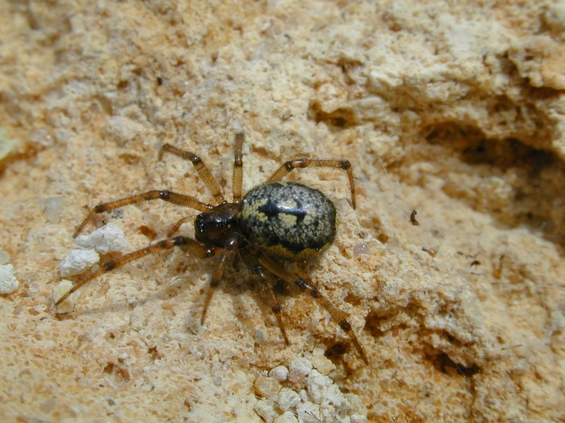 DSCN5766