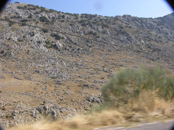DSCN1244