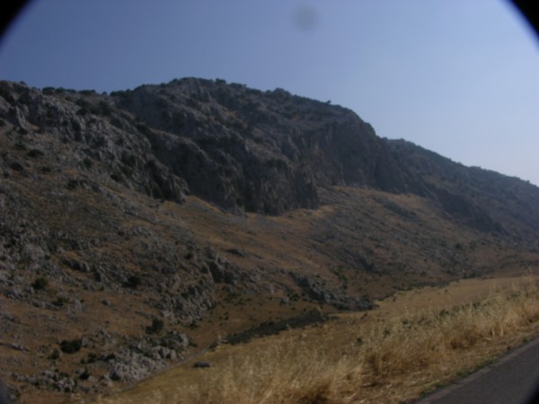 DSCN1246