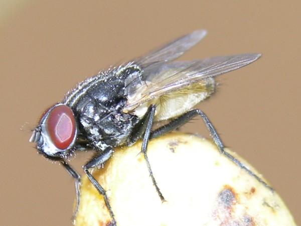 RSCN1344