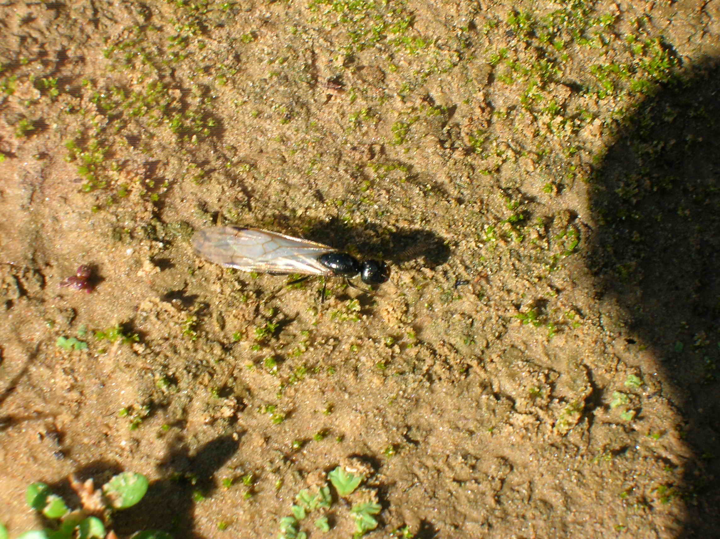 DSCN0806