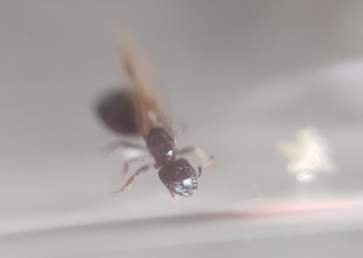por identificar colombia 4