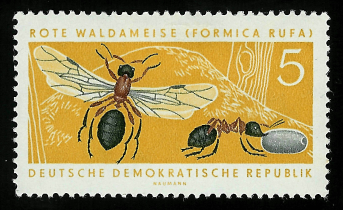 Sello de Formica rufa (reina, obrera y pupa). Repblica Democrtica Alemana, 1962