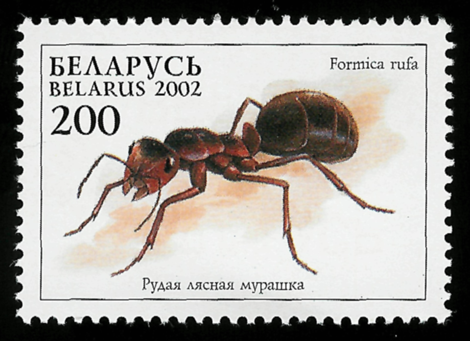 Sello Formica rufa que forma parte de una serie de 1 sello y 1 bloque. Bielorrusia, 2002