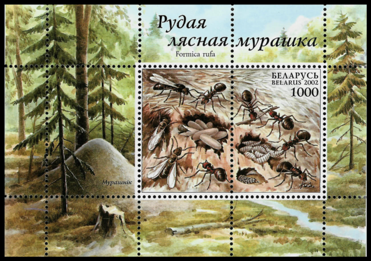 Bloque de 2 sellos, 1 sin valor, dedicado a la Formica rufa y su nido completo exterior e interior. Hay un sello aparte del bloque. Bielorrusia, 2002